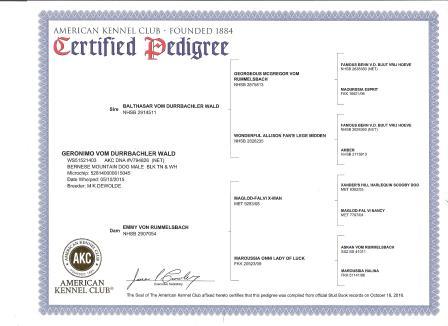 registration_papers_002.jpg